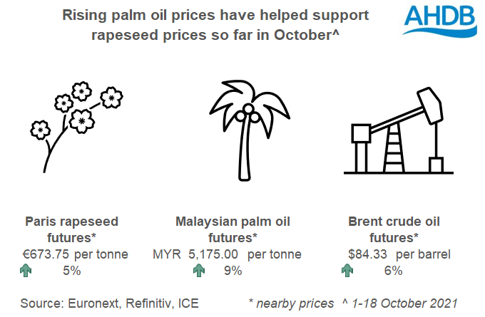 Infographic: 1-18 Oct rise in nearby Paris rapeseed, Malaysian palm oil and Brent crude oil prices